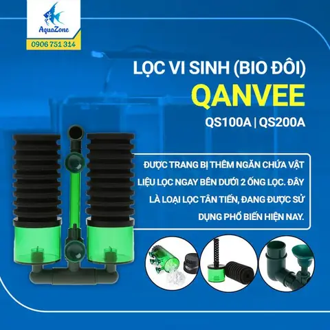 Cá Cảnh Tân Tiến: Xu Hướng Thiết Kế Và Chăm Sóc Bể Cá Hiện Đại