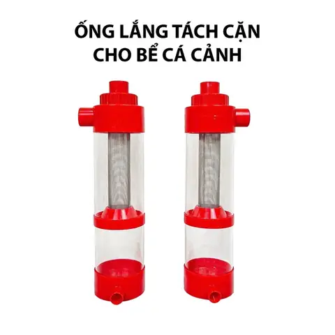 Hình Ảnh Một Sản Phẩm Mới Cho Bể Cá Cảnh