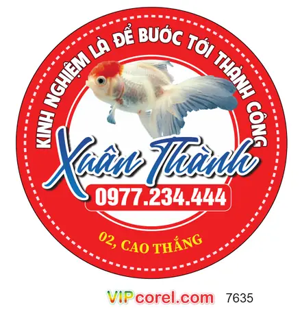 Cá Cảnh Thanh Xuân: Cẩm Nang Toàn Tập Từ A-z Cho Người Mới & Dân Sành
