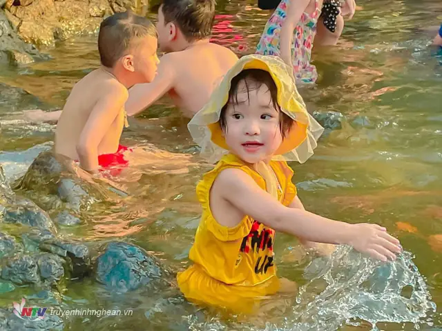 Cá Cảnh Trung Tọ
