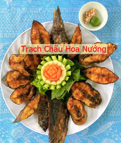 Cá Chạch Hay Trạch