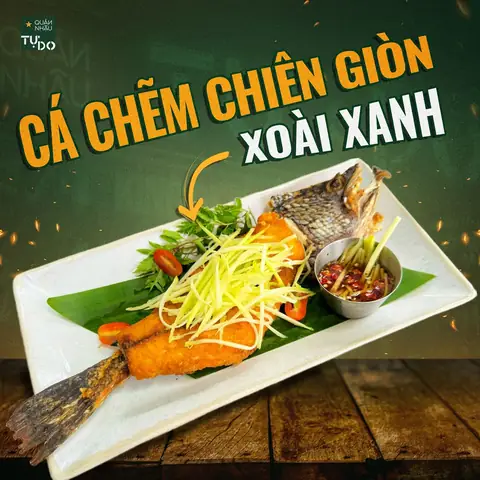 Thưởng Thức Món Cá Chẽm Ngon Ở Đâu?