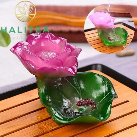 Bông Sen Cá Chép Đổi Màu Trang Trí Bàn Trà
