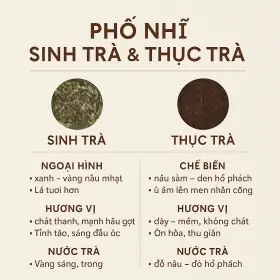 Chọn Chén Uống Trà – Bí Mật Ít Ai Nói Trong Nghệ Thuật Thưởng Trà