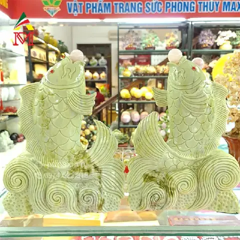 Thông Tin Cặp Cá Rồng Ngọc Serpentine