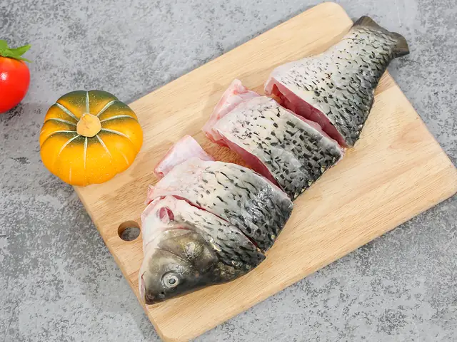 Cá Chép Kỵ Thịt Chó Cá Chép Kỵ Thịt Chó