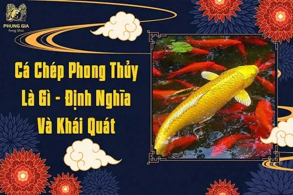 Cá Chép Phong Thủy Là Gì – Định Nghĩa Và Khái Quát