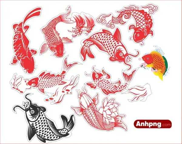 Giới Thiệu Về Cá Chép Vàng Png: Nét Đẹp Đa Chiều Từ Biểu Tượng Đến Kỹ Thuật Số