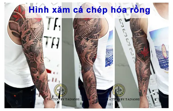 Hình Ảnh Cho Hình Xăm Cá Chép Vượt Quỷ Môn Quan: