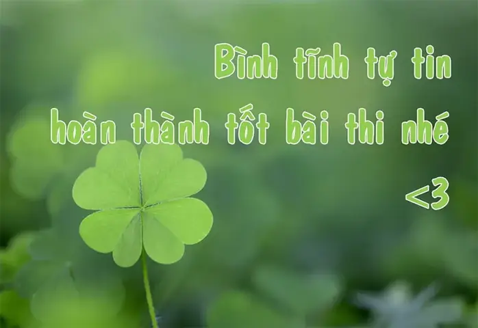 Tuyển Tập Hình Ảnh May Mắn Ý Nghĩa Khác