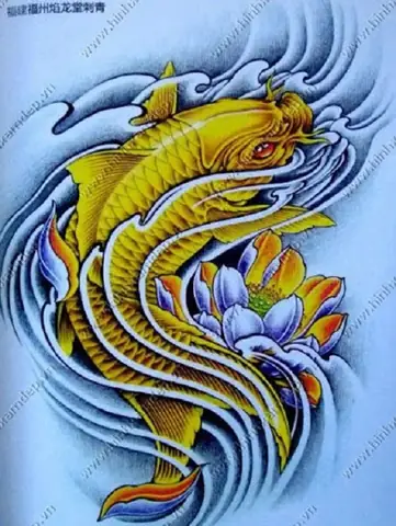 Hình Ảnh Cho Hình Xăm Cá Chép Màu Xanh Dương: Hình Ảnh Cho Hình Xăm Cá Chép Màu Xanh Dương: