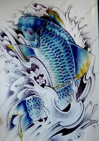 Hình Ảnh Cho Hình Xăm Cá Chép Màu Xanh Dương: Hình Ảnh Cho Hình Xăm Cá Chép Màu Xanh Dương: