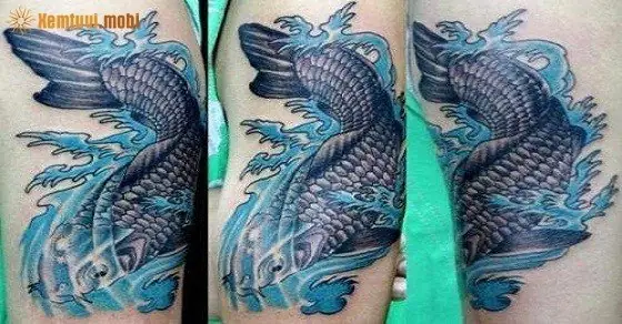 Hình Ảnh Cho Hình Xăm Cá Chép Màu Xanh Dương: Hình Ảnh Cho Hình Xăm Cá Chép Màu Xanh Dương: