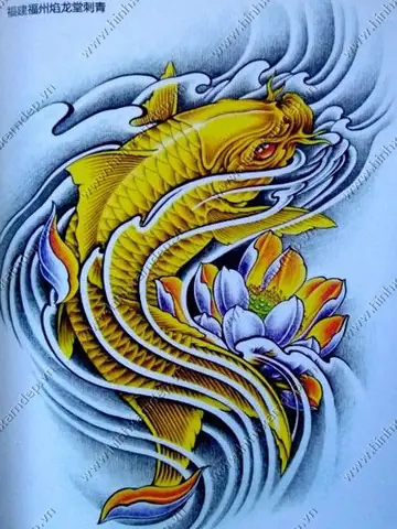 Hình Ảnh Cho Hình Xăm Cá Chép Màu Xanh Dương: Hình Ảnh Cho Hình Xăm Cá Chép Màu Xanh Dương: