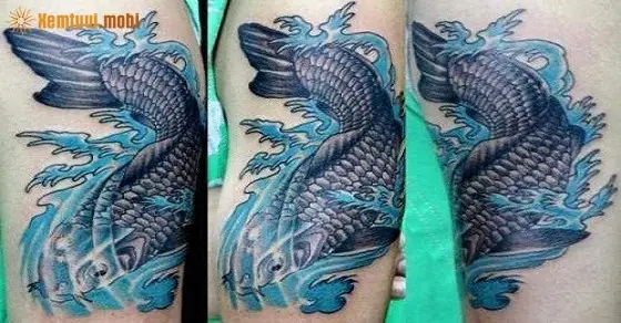 Hình Ảnh Cho Hình Xăm Cá Chép Màu Xanh Dương: Hình Ảnh Cho Hình Xăm Cá Chép Màu Xanh Dương: