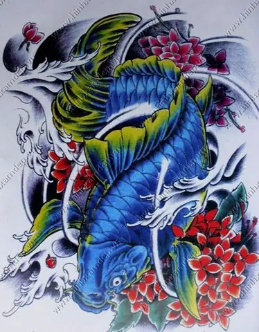 Hình Ảnh Cho Hình Xăm Cá Chép Màu Xanh Dương: Hình Ảnh Cho Hình Xăm Cá Chép Màu Xanh Dương: