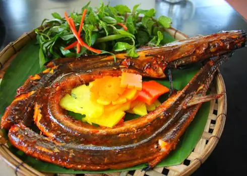 Cá Chìa Vôi Biển