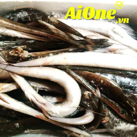 Cá Chìa Vôi Đengiá Bao Nhiêu Tiền? Mua Ở Đâu Bán Giá Rẻ Tại Tp Hồ Chí Minh?