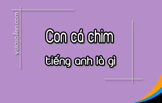 Con Cá Chim Tiếng Anh Là Gì Con Cá Chim Tiếng Anh Là Gì
