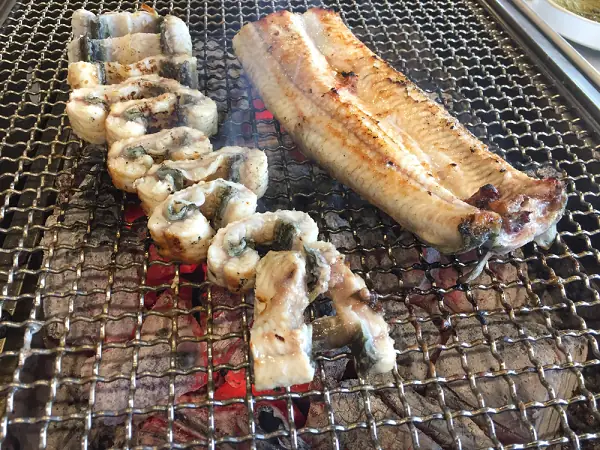 Cá Chình Biển Làm Gì Ngon?