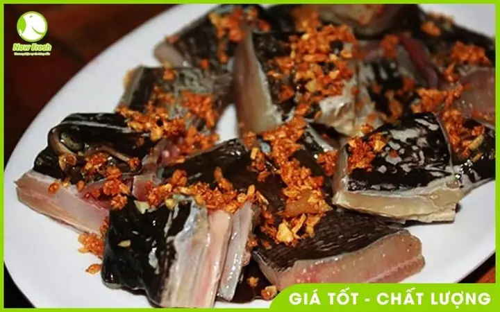 Cá Cờ Đại Dương