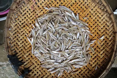Món Cá Còm Kho Nghệ Món Ăn Dân Dã Của Nghệ An