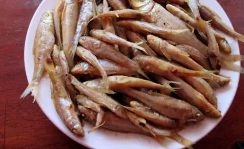 Video Đang Hot