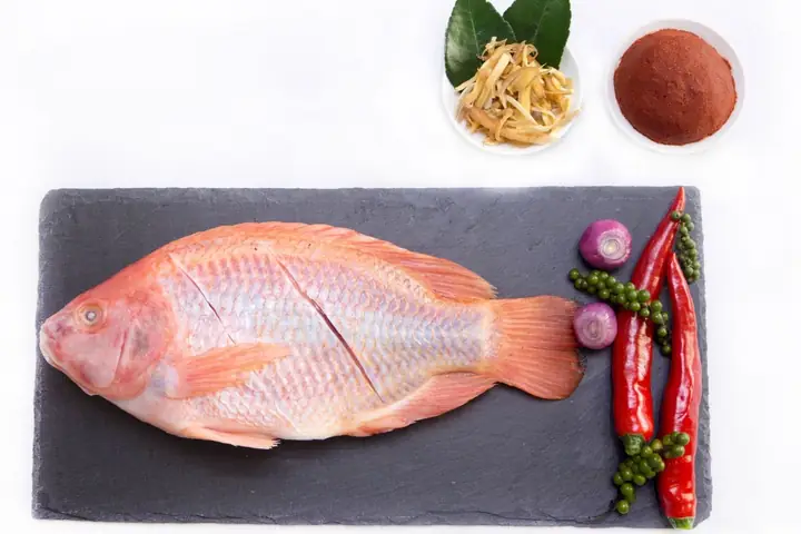 Cã Äiãu Há»ng Sá»ng 0.5-0.8kg