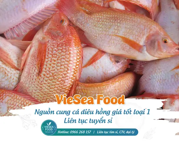 Nguồn Cung Cá Diêu Hồng
