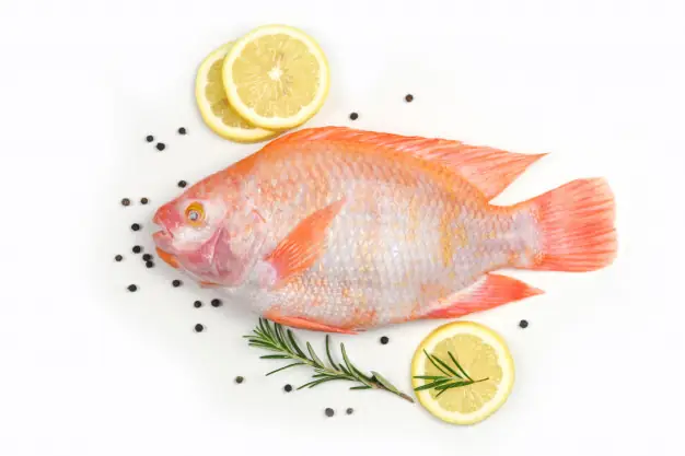 Cá Diêu Hồng Trong Tiếng Anh Là Gì? Toàn Tập Kiến Thức Về Red Tilapia