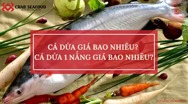 Cá Dứa Giá Bao Nhiêu Tiền 1kg? Mua Ở Đâu Ngon Và Chất Lượng?