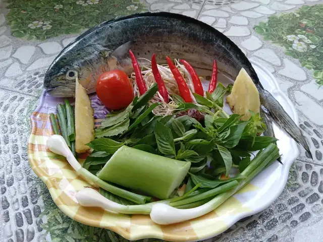 Định Nghĩa Cá Dũa: Tổng Quan Về Loài Cá Độc Đáo