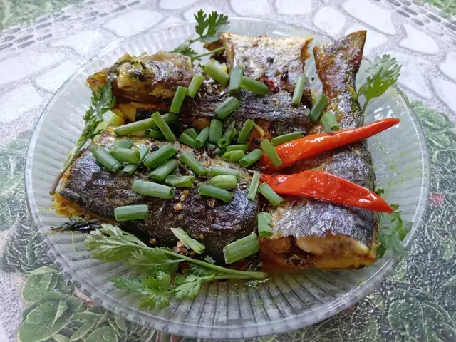 Đặc Điểm Sinh Học Nổi Bật Của Cá Dũa
