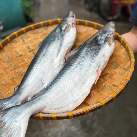 Mua Cá Dứa Tươi Thiên Nhiên Ở Đâu Uy Tín?