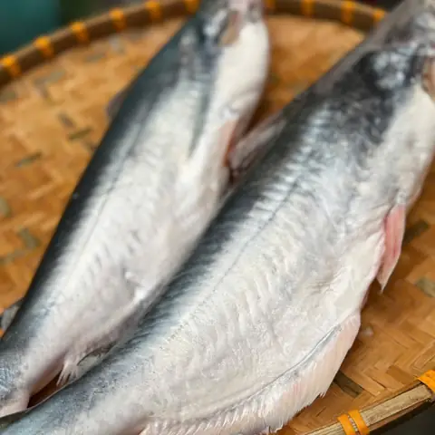 Mua Cá Dứa Tươi Thiên Nhiên Ở Đâu Uy Tín?