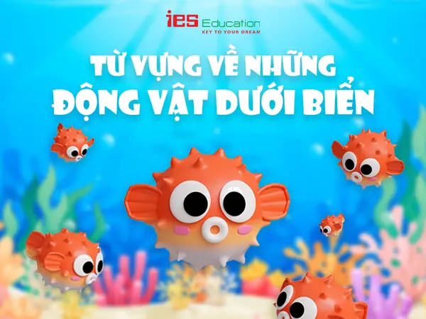 [học Từ Vựng Tiếng Anh] - Về Con Vật Dưới Nước Trong Tiếng Anh