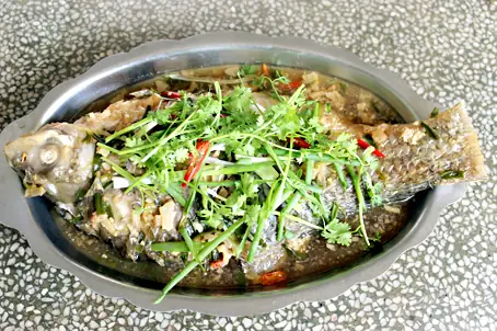 Thơm Ngon Cá Duồng