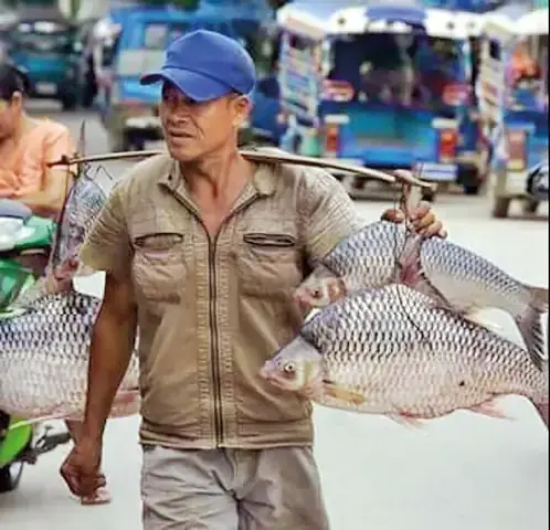 Giá Trị Dinh Dưỡng Và Sức Khỏe Của Cá Duồng Sông Đồng Nai