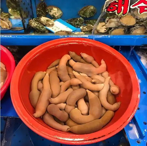 Hàng Nghìn Con "cá Dương Vật" Dạt Vào Bãi Biển.