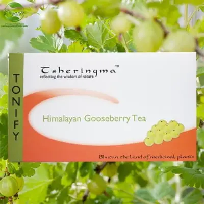 Trà Gooseberry Hymalayan – Chống Oxi Hóa & Tăng Sức Đề Kháng