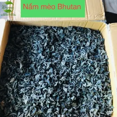Nấm Mèo Bhutan 200g-1kg