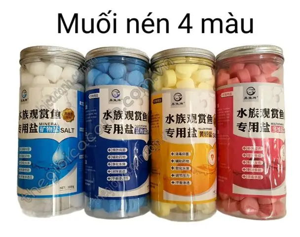 Tại Sao Cá Lại Có Nhiều Màu Sắc Đến Vậy?
