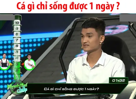 Cá Gì Chỉ Sống Được 1 Ngày? Khám Phá Sự Thật Về Loài Cá Có Vòng Đời Ngắn Nhất