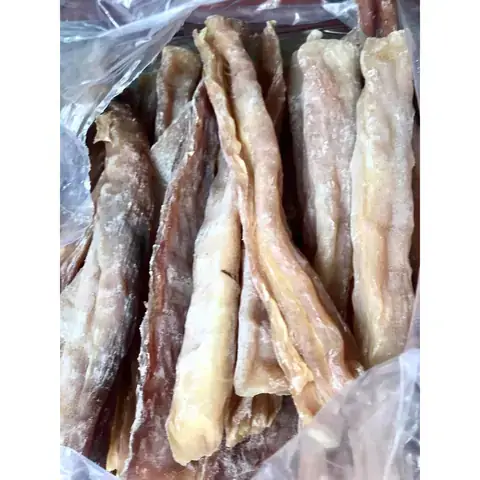 Cá Gộc: Định Danh Khoa Học Và Đặc Điểm Sinh Học