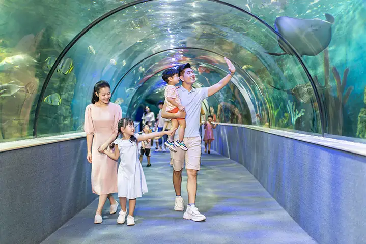 Các Loại Bệnh Thường Gặp, Cách Phòng Bệnh