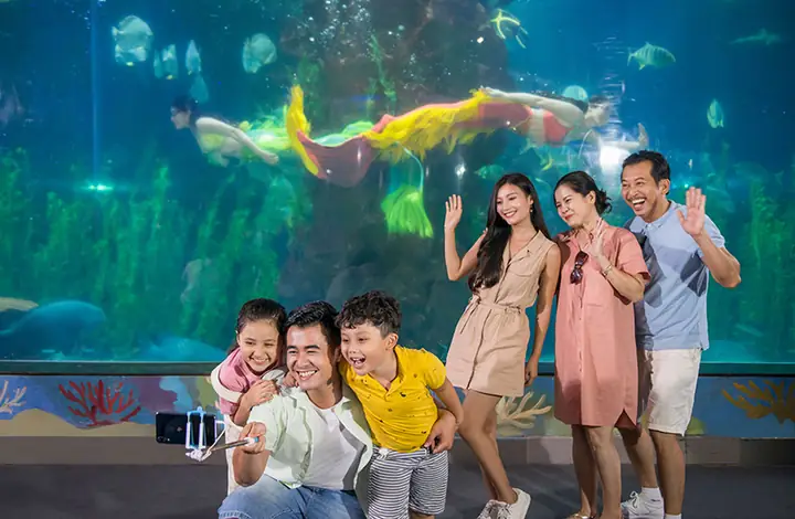 Các Loại Bệnh Thường Gặp, Cách Phòng Bệnh
