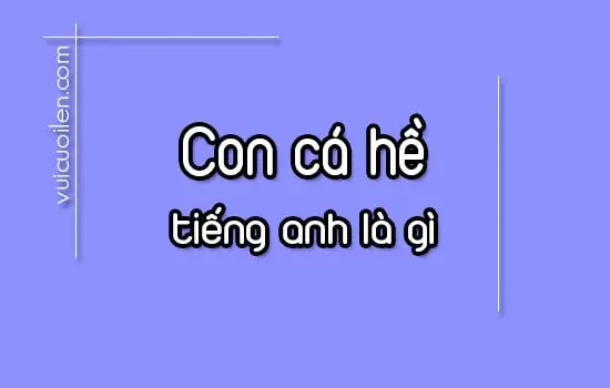 Con Cá Hề Tiếng Anh Là Gì