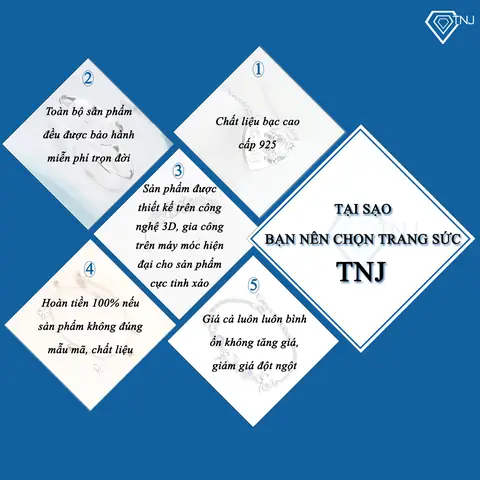 Tại Sao Bạn Nên Mua Dây Chuyền Bạc Nữ Mặt Cá Heo Tại Trang Sức Tnj