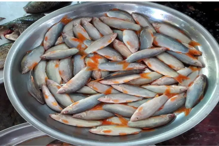 Đối Với Sức Khỏe