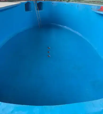Sinh Sản Và Vòng Đời Của Cá Heo Nước Mặn